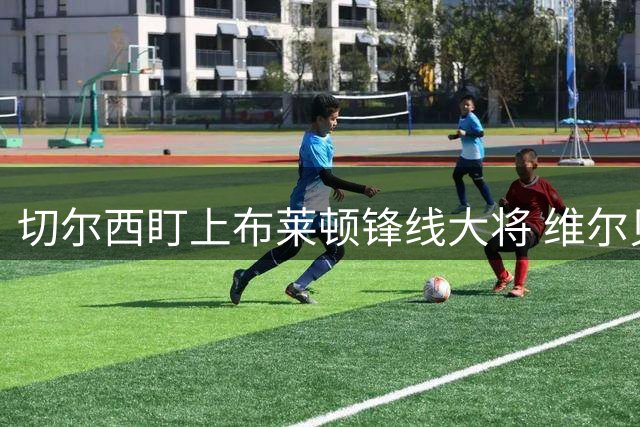 切尔西盯上布莱顿锋线大将 维尔贝克或成蓝军新目标