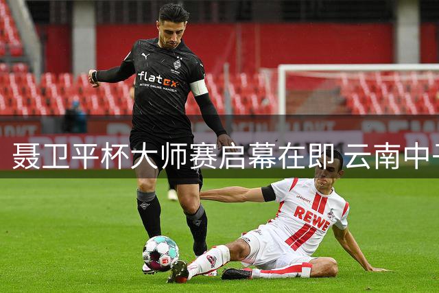 聂卫平杯大师赛启幕在即 云南中子围棋担纲专业棋具供应商